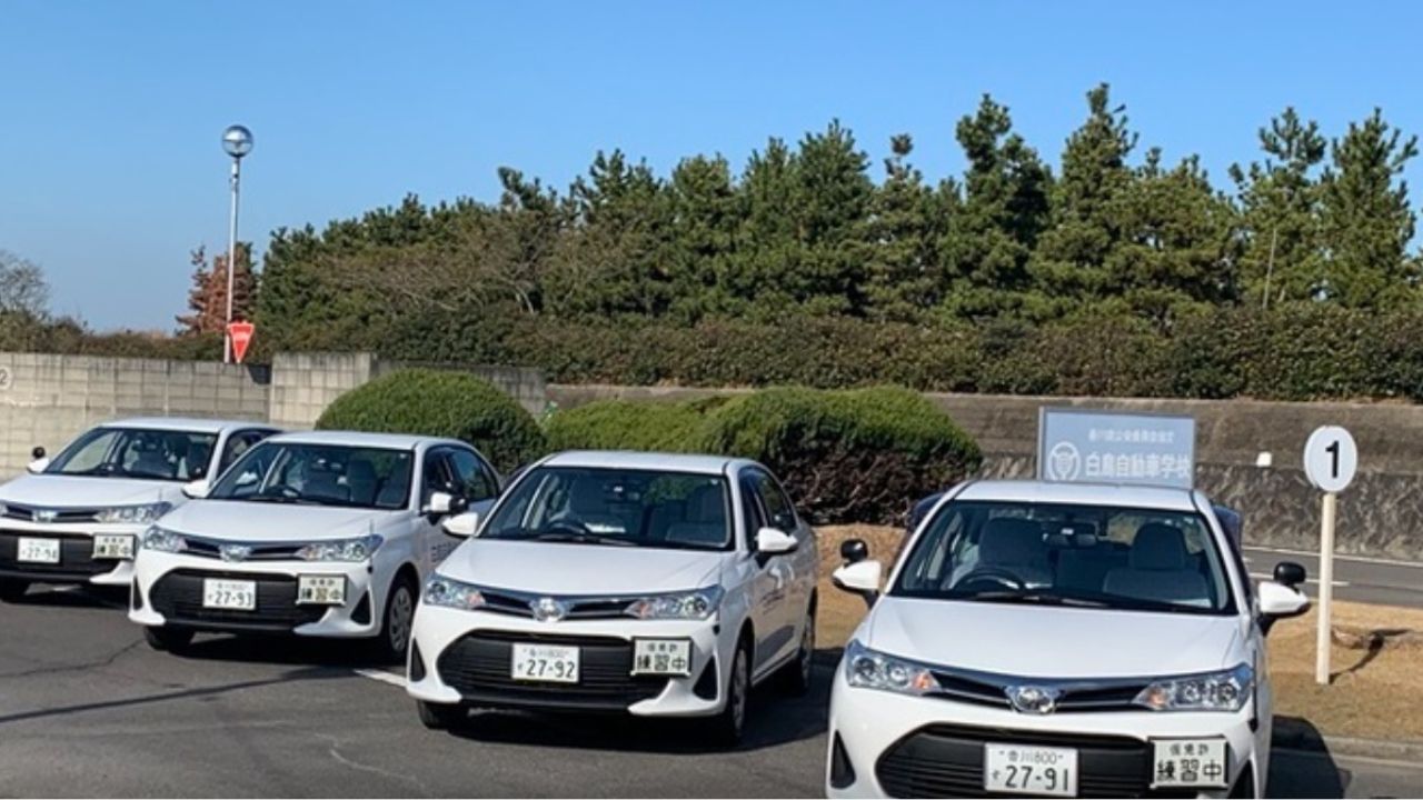 白鳥自動車学校