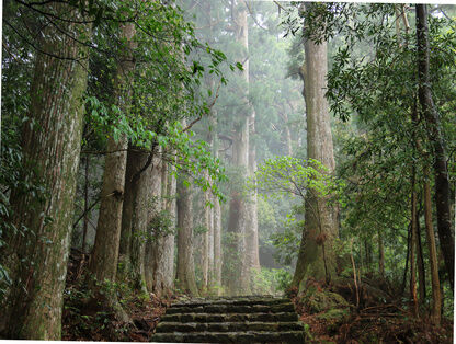 熊野古道伊勢路