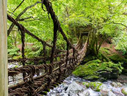 祖谷のかずら橋