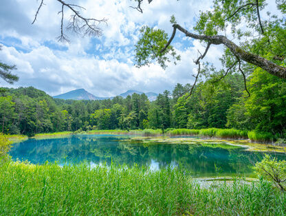 五色沼湖沼群