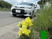 藻南自動車学校の画像5
