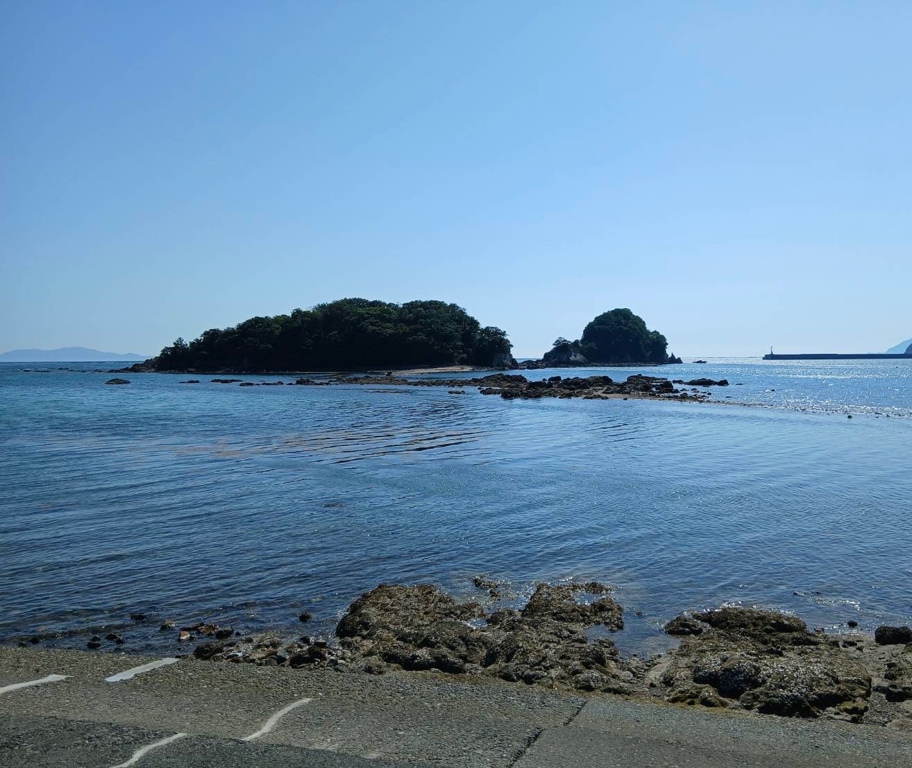 宿毛自動車学校の口コミ写真