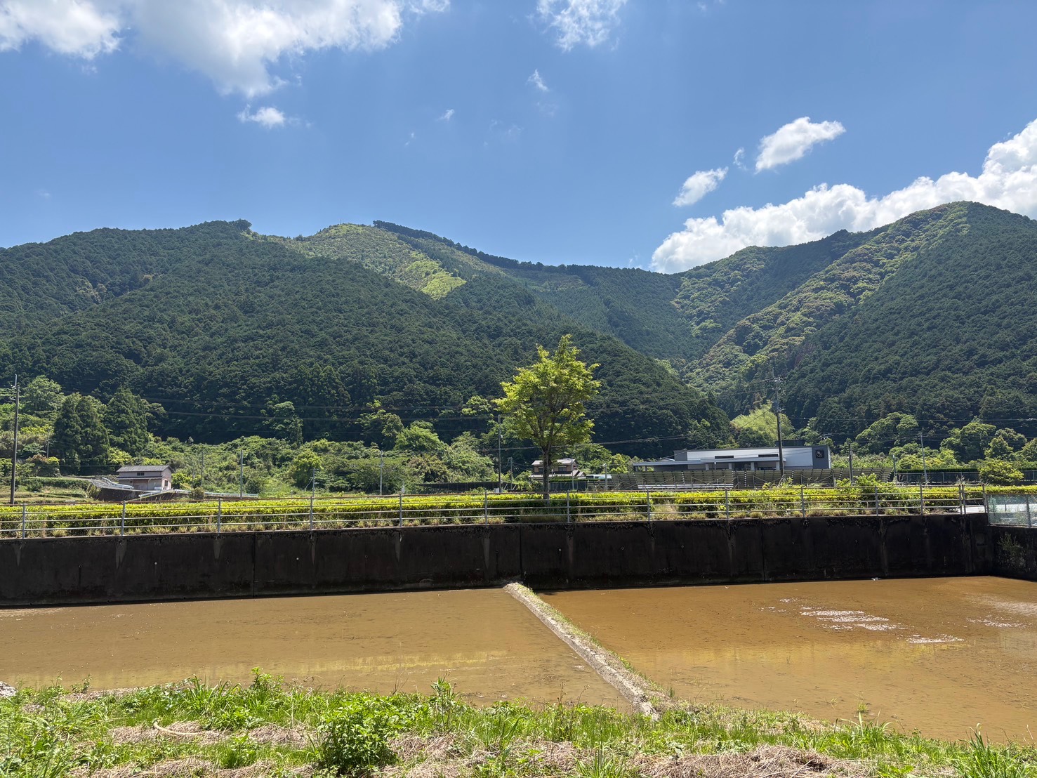 宿毛自動車学校の口コミ写真