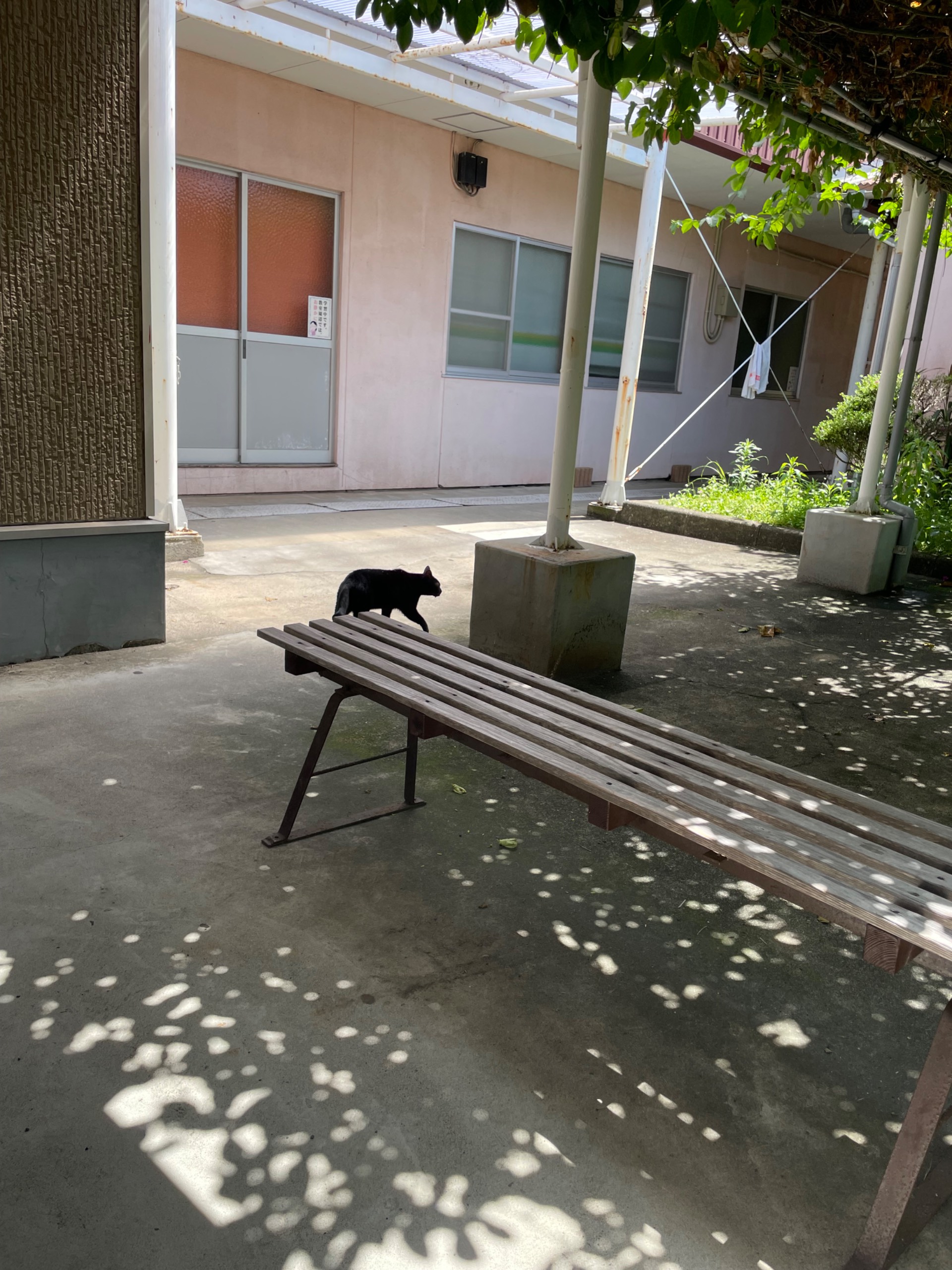 指宿中央自動車学校の口コミ写真